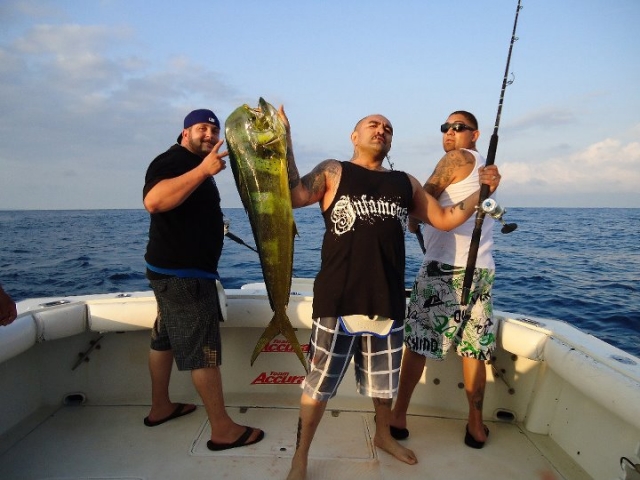  Fishing for dorado 